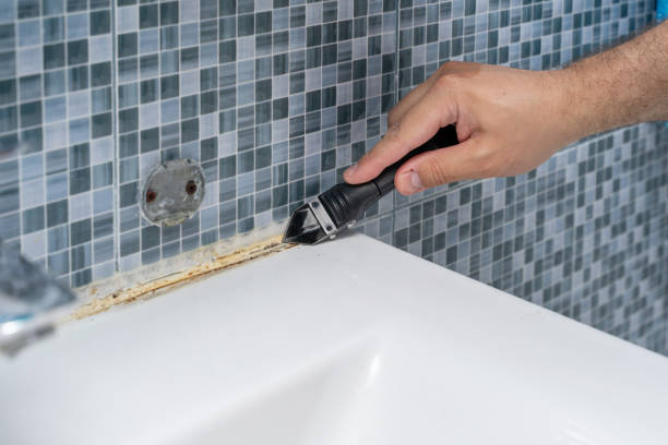 Best Basement Mold Remediation in Zebulon, GA